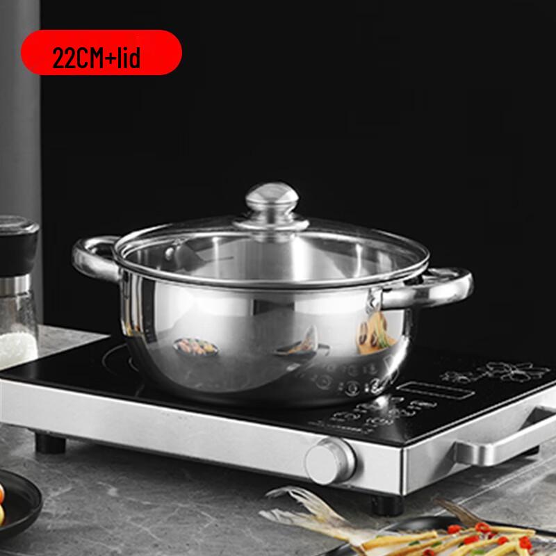 DUTRIEUX 22cm Stainless Steel Soup Pot with Transparent Lid