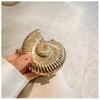 Womens Conch Shape Purse Elegant Acrylic Evening Bag with Chain Strap Crossbody Shoulder Small Handbag for Wedding Party