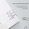Deli 0025 Paper Clips