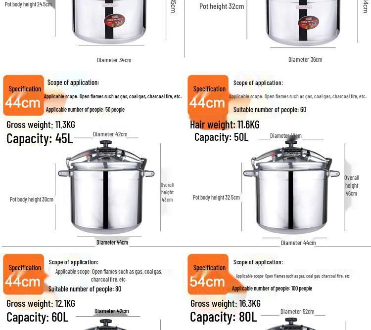 Universeller Mini-Induktions-Schnellkochtopf für den Haushalt, das Hotel und den Außenbereich