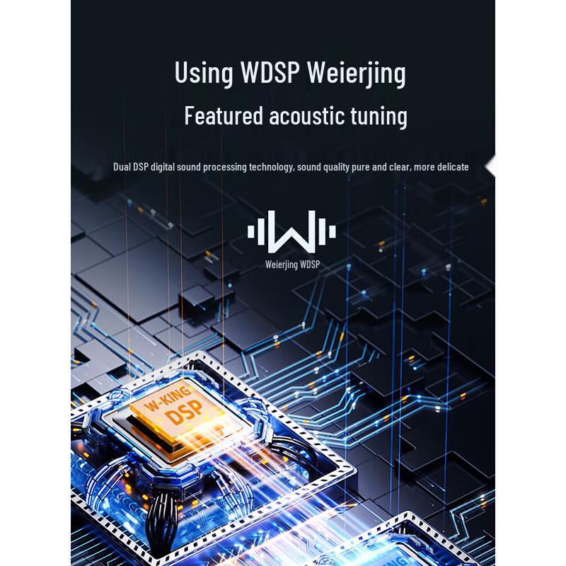 W-King T6S Portable Karaoke Bluetooth Speaker