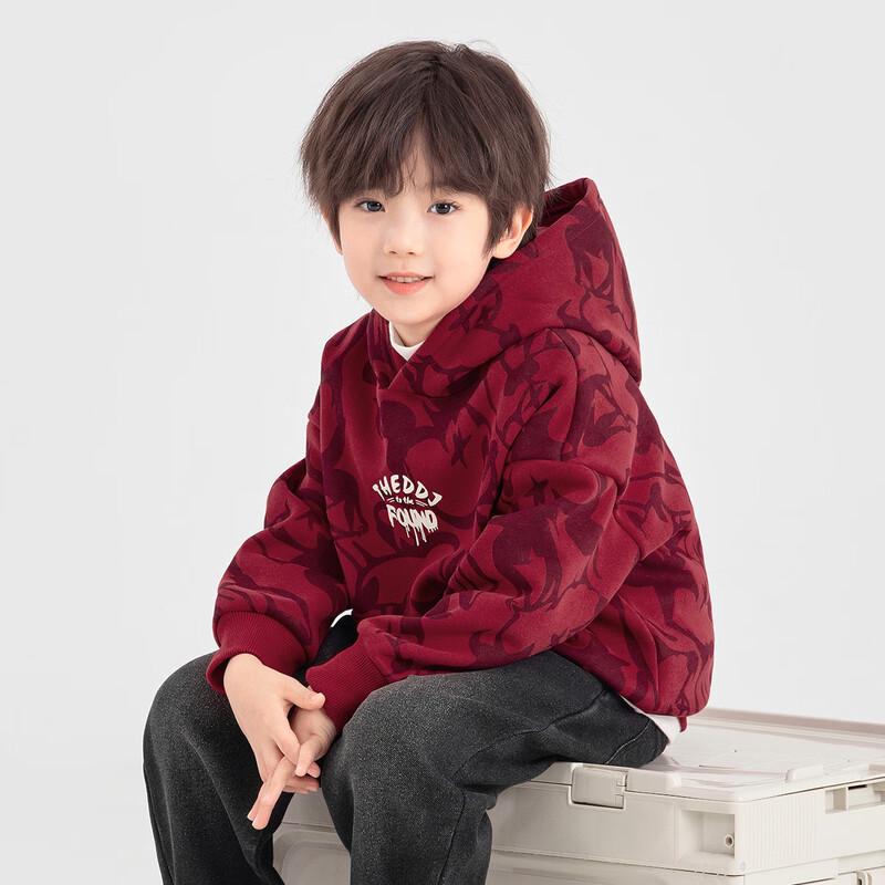 

Boys Winter Plush Hooded Sweatshirt 120