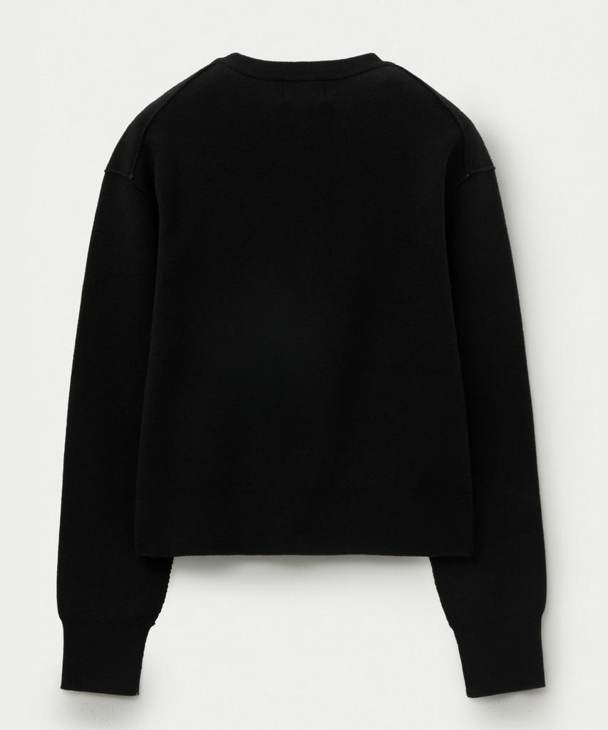 Seteo (W) Outline Basic Crew Neck Knit Black