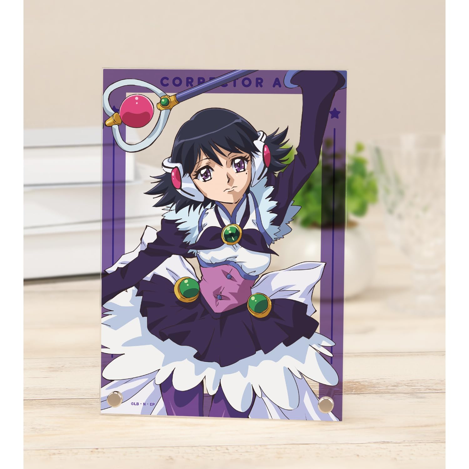 

Коллекционер Юи Коллекционер Ай А5 Акриловая панель