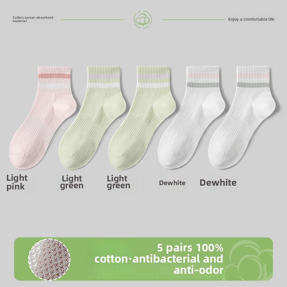 5 Pairs of Female Spring and Summer Leisure Sports Wear A Trend In Tube Socks
