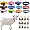 Goat Sheep Adjustable Nylon Pet Collar Strong Durable Wear Resistant 1 Piece for Livestock Identification on Ranch