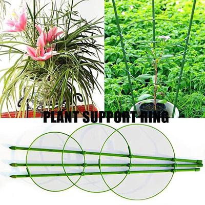 Plant Support Ring  Plant Trellises Garden Basket Plant Fixed Climbing