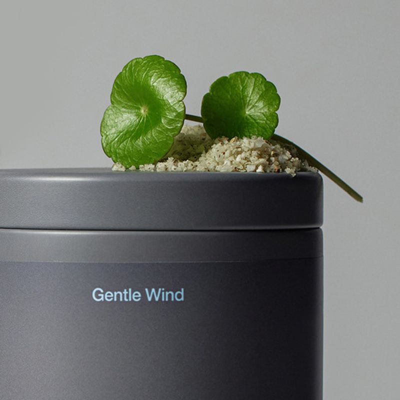 ReSaltZ Aroma Bath Salt Gentle Wind