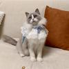 Pearl Bow Lace Pet Scarf, Checkered Adjustable Collar for Cats & Dogs, Party Photo Accessory
