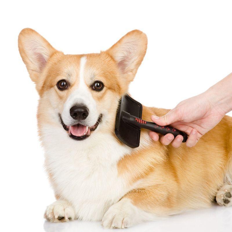 Hund-Pflegebürste Haustier-Reinigungsbürste für Haustier Kleine Große Hunde Haustier-Haarentferner für Schmutz Unterwolle Verfilzungen Haare