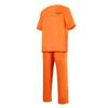 Halloween American Adult Men's and Women's Performance Costume Prisoner's Play Costume Orange Prisoner's Uniform C Uniform Factory