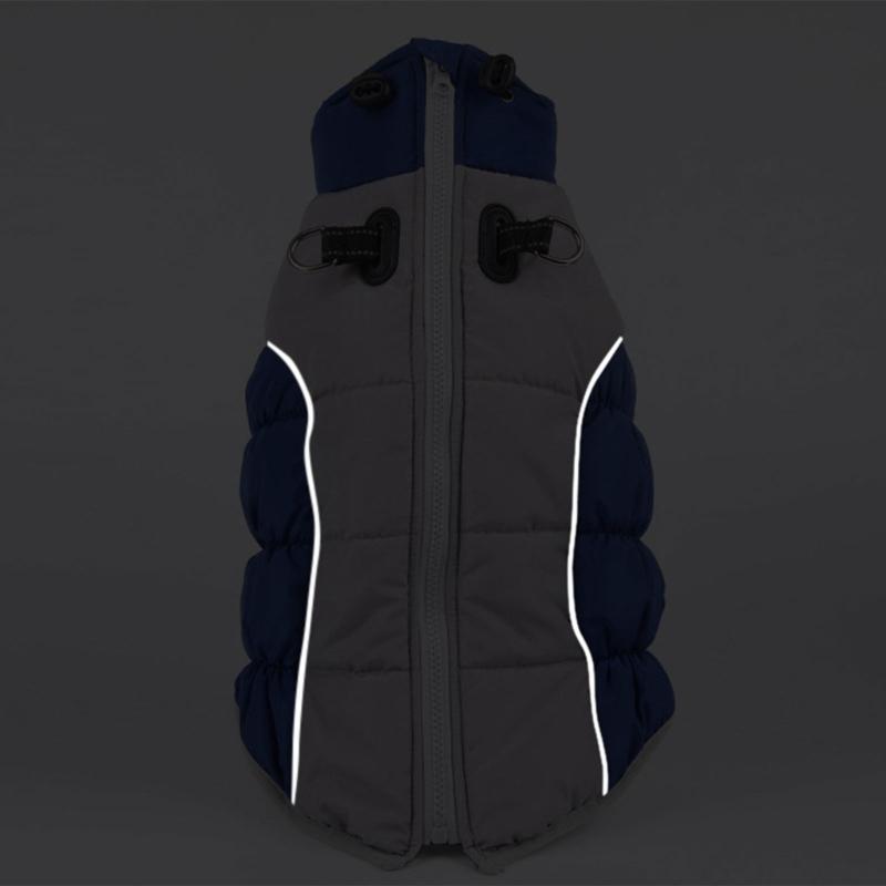 Dogs Warm Coat for Outdoor Activity Puppy Clothes Cats Windproof Jumpsuit Fashion Dog Clothes Chihuahuas Teddydog Outfit