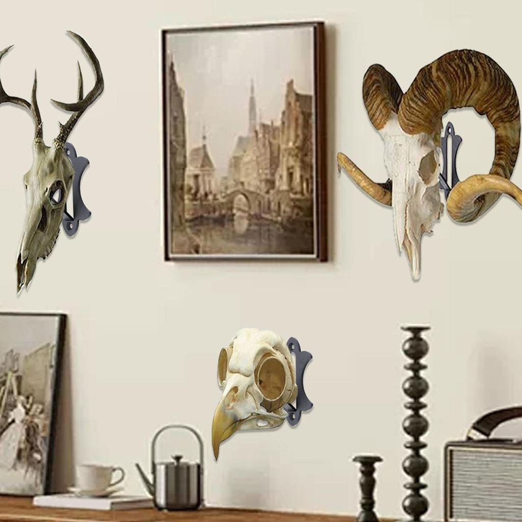 Skull Hanger Skull Hook Trophy Mount 6 Pieces Heavy Duty Strong Load-Bearing Bracket Hook For Small Animals Coyote Cabin Game