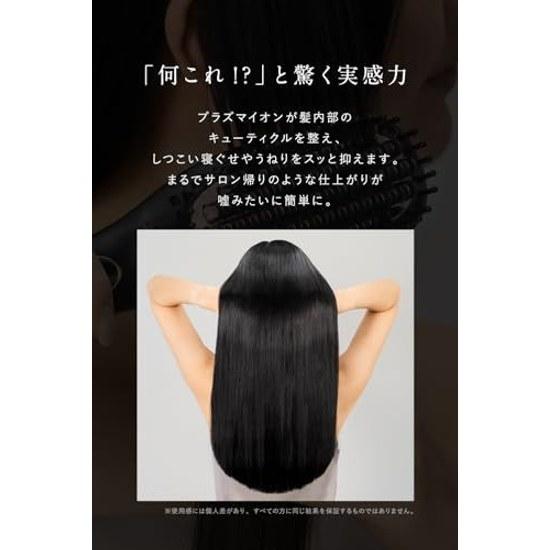 Spazzola Riscaldante Lupirina Ferro per Capelli Plasma Ioni Raddrizza 3 Minuti Mattina Aumenta la Lucentezza Riduce i Danni da Frizione (Grigio Beige Regolare)