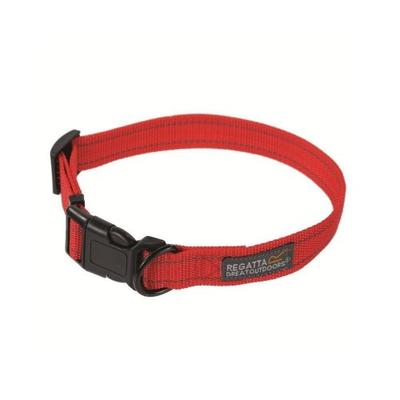 Comfort Dog Collar