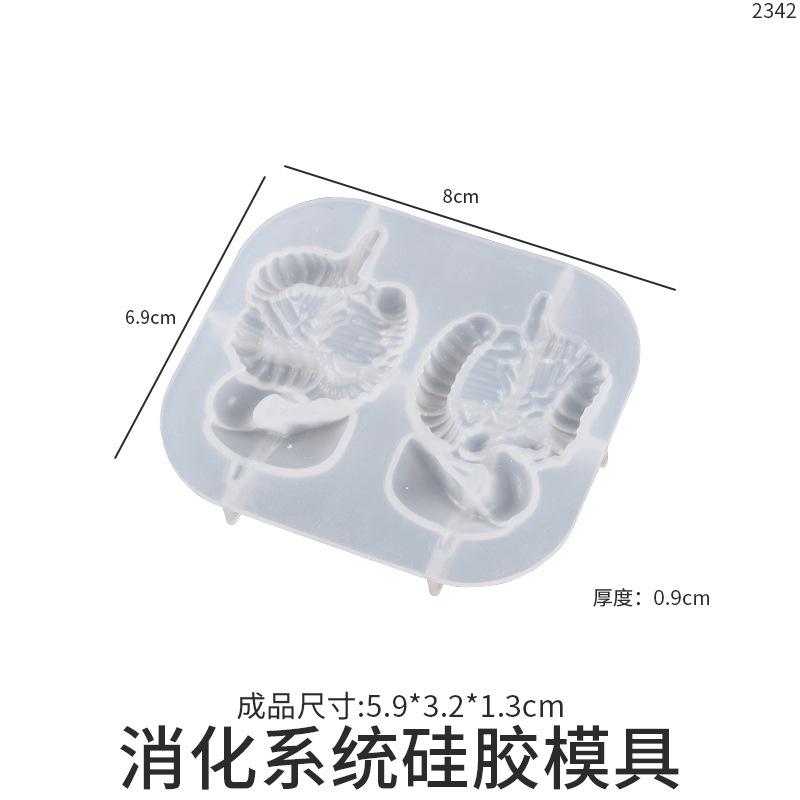 Human Organs Shape Silicone Molds Heart Brain Resin Epoxy Mold Cupcake