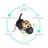 Hund Interaktives Spielzeug Interessantes Seltsames Quietschgeräusch Hüpfender Ball mit Langsamer Fütterung Angstabbau Zahnreinigung Haustierbedarf