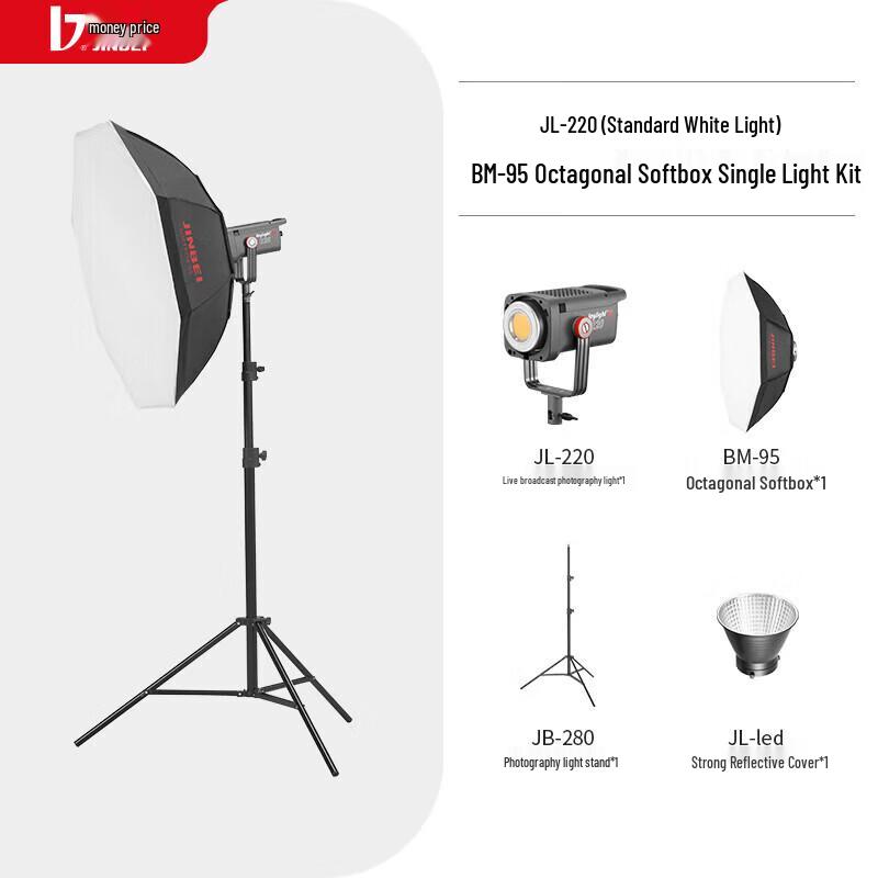 JINBEI JL-220 LED Video Light Kit with BM95 Octagonal Softbox