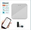 Graffiti Zigbee Wireless Bluetooth Smart Gateway with Voice Control, Alexa & Google Home Compatible