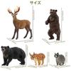 TOYMANY North American Forest Animals Figure Set, 12 Pcs (Hand-Painted, Educational & Display)