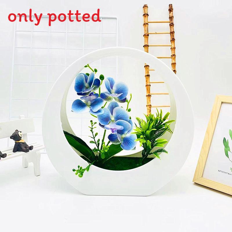 

Flower Phalaenopsis Simulated Potted Moon Shaped Decorative Wall Pendant Blue