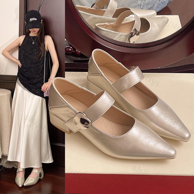 Fashion Retro Elegant Casual Mary Jane Women's Shoes 2025 Spring New Point Head Coarse Heel Shallow Mouth Pumps Comfortable Single Shoes