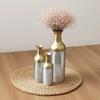 3 Pieces BiColor Metal Vase Decorative Tabletop Centerpiece Versatile for Living Room, Dining