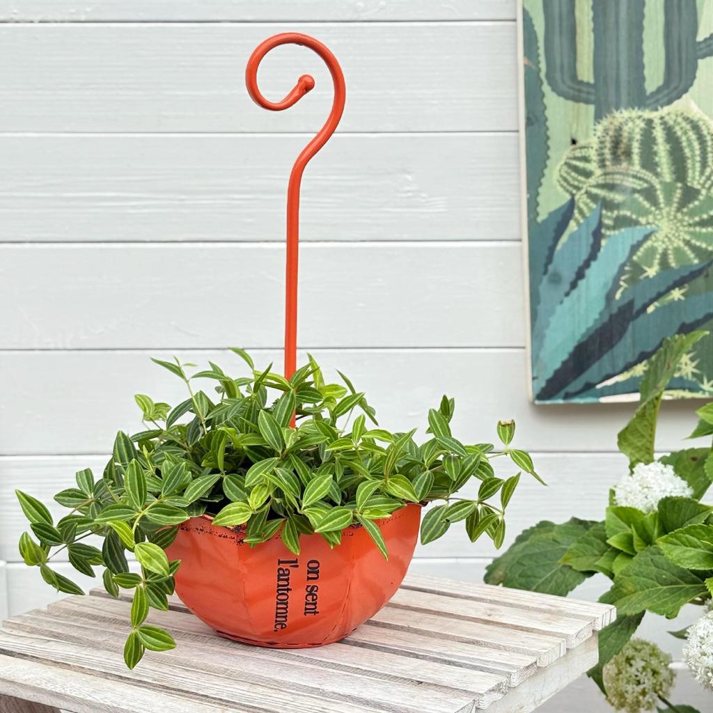 Wrought Iron Hanging Hook for Outdoor Decoration - Umbrella, Flower Pot, Vase, Garden, Balcony