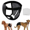 Cross-Border Dog Menstrual & Sanitary Pants - Anti-Harassment Physiological Diaper for Mother Dogs