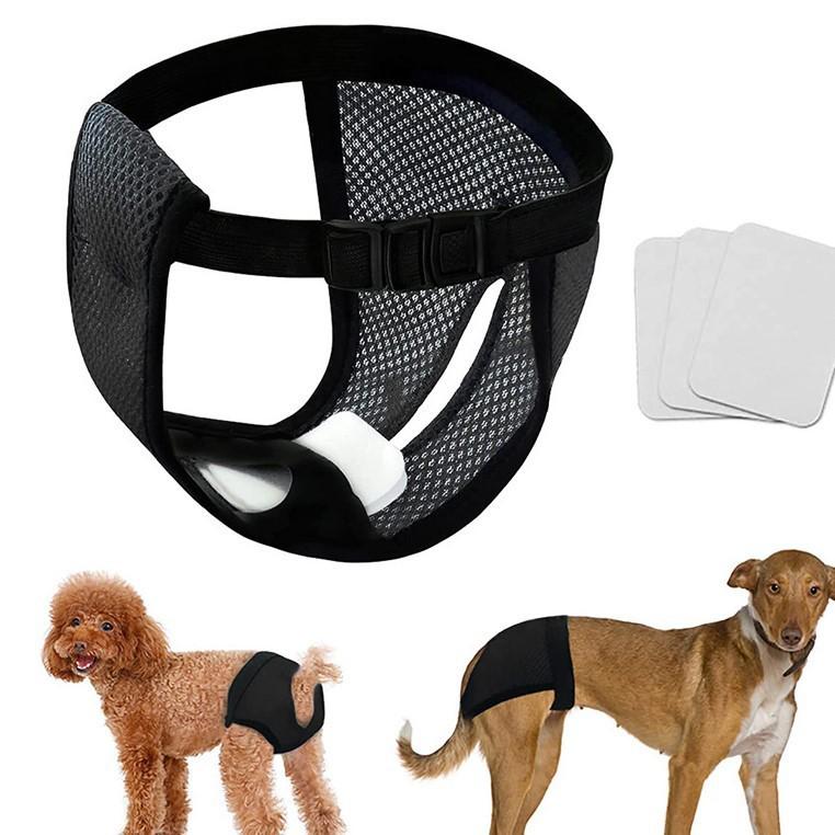 Cross-Border Dog Menstrual & Sanitary Pants - Anti-Harassment Physiological Diaper for Mother Dogs