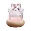 Saving Storage Bottle Glass Piggy Bank with Wooden Stand