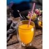 Tazza di vetro Tazza di vetro borosilicato ad alta resistenza a doppia parete Tazza di tè Latte Succo Vino Caffè Acqua Tazza Bar Drinkware Regalo