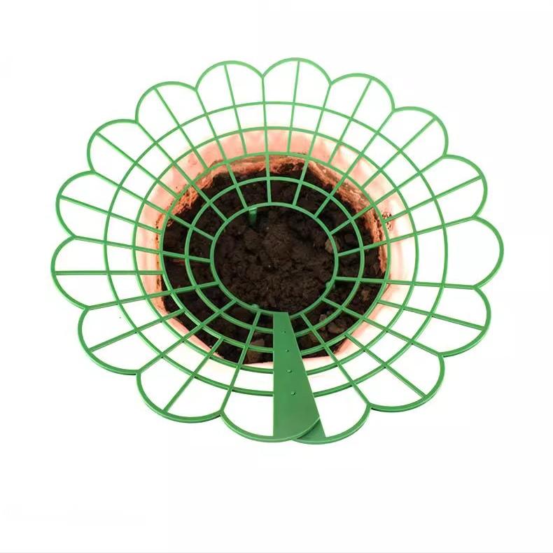 Strawberry Plant Supports with 3 Sturdy Legs Strawberry Growing Racks Protector Frame Holder Cage From Mold Rot Dirt