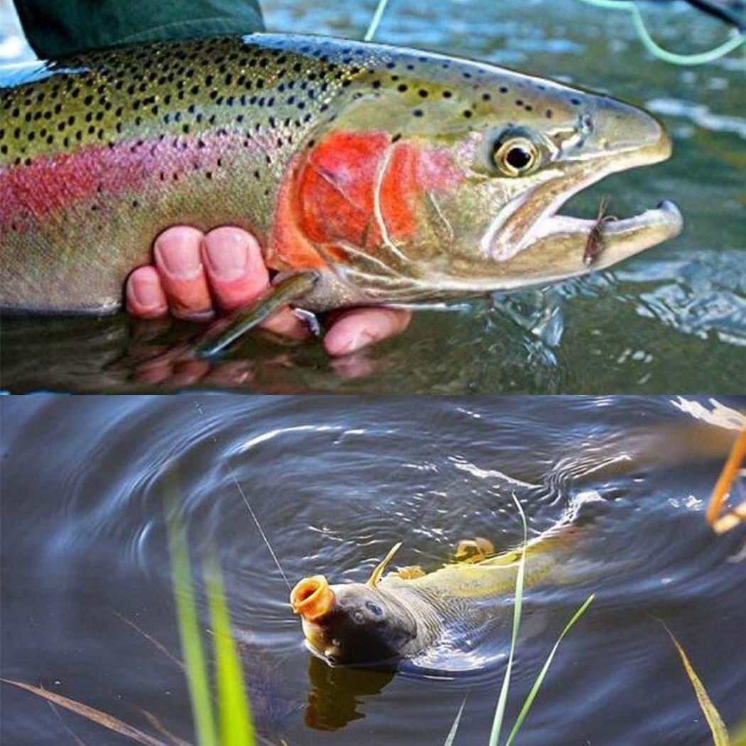 1/3 шт. нимфа Scud Fly Bug Форель Рыболовные мушки Искусственные насекомые Рыболовная — фото 17