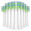WENHA (Small Shop) Replacement Toothbrush Heads with Covers for 7am2m AM101/AM105 Electric Toothbrushes, 10-Pack (White)