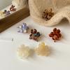 Korean style Small Versatile hairpin Hair accessories Acetic acid Hair Claw Flower grab clip