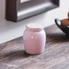 Nordic Mini Ceramic Tea Leaf Jar Fragrant Powder Sealing Portable Travel Small Tea Jar Gilded Porcelain Storage Bottle Container