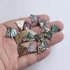 New Zealand Abalone Shell Pendant Charm - Ancient Style Hairpin & DIY Earring/Clothing Accessory.