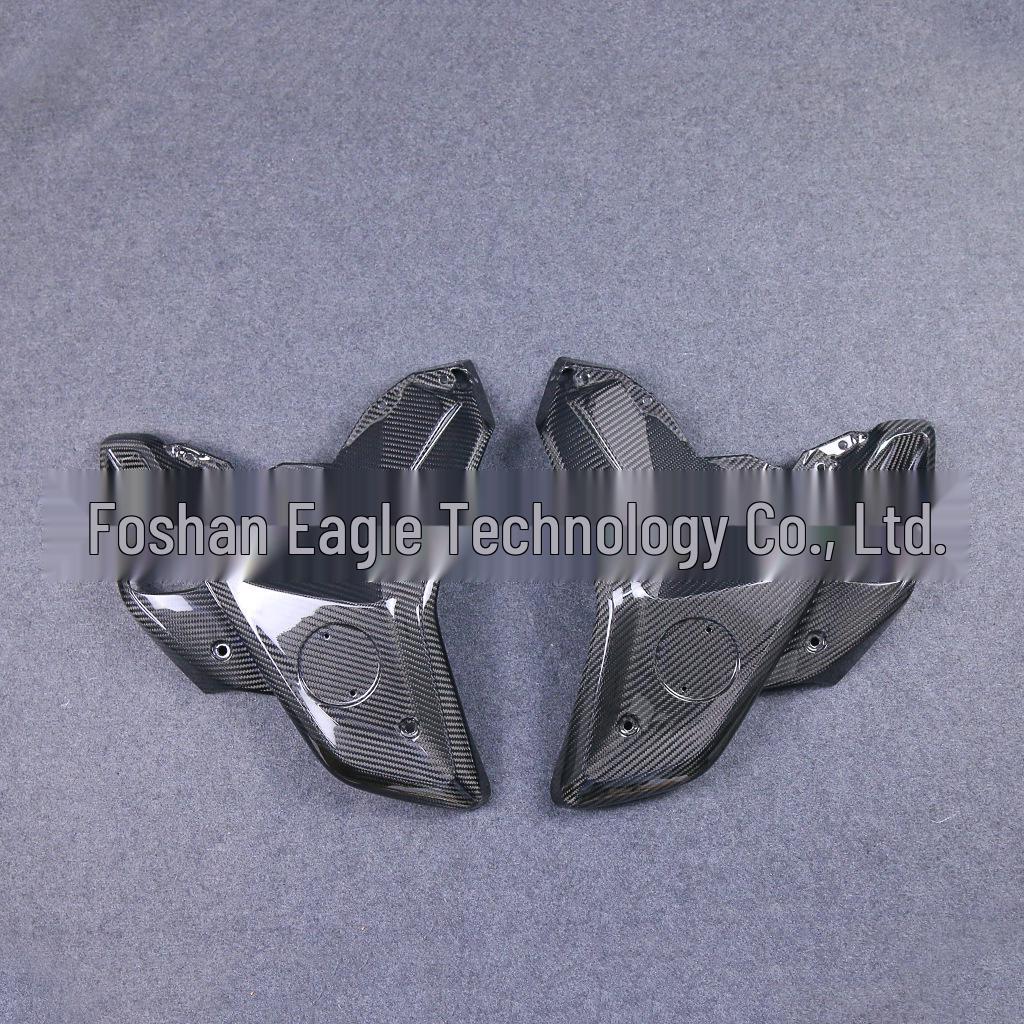 BMW R1200GS R1250GS Carbon Fiber Front Side Panel Fairing Motorcycle Accessories
