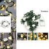 Elegant Warm White Led Rose Flower String Lights With Battery Box For Versatile Decorations