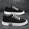 Mens Casual Shoes Autumn New Cloth Lace-up Flat Shoes 2025 New Male Sneakers Luxury Design Canvas Shoes Men Zapatillas Hombre