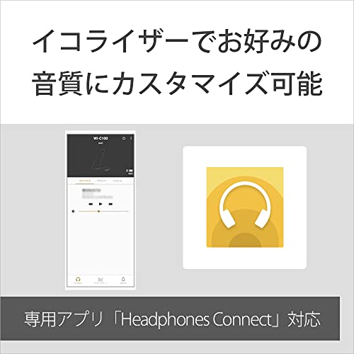 Sony WI-C100 Wireless Earbuds, Bluetooth Compatible, 25-Hour Battery Life, IPX4 Water Resistant, DSEE Compatible, Black, WI-C100 BZ, Small
