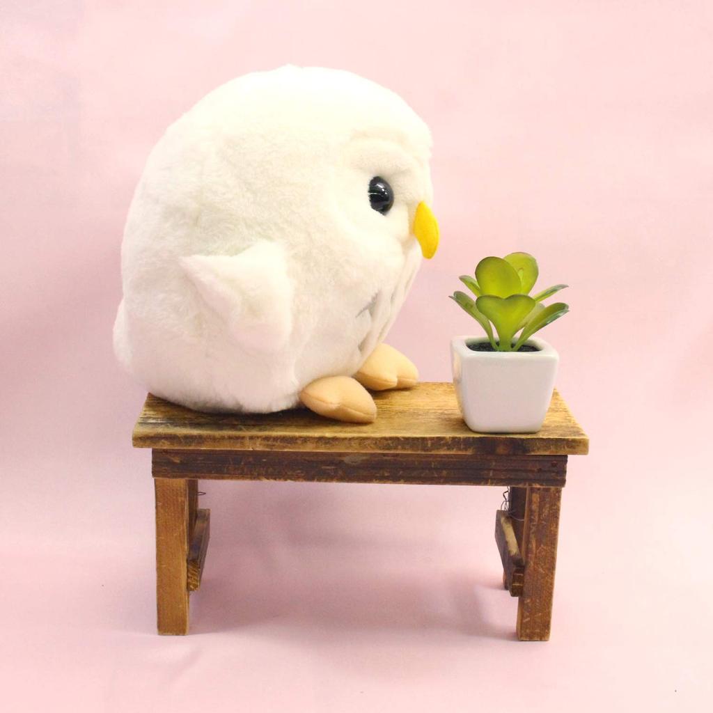 Decolare Bufniță Norocoasă Mediu Alb