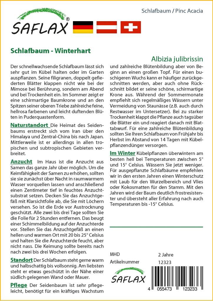 SAFLAX Pinc Akazie - 50 Samen - Albizia julibrissin