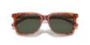 Coach Sunglasses HC8385U CL910 CARAMEL TORTOISE 54