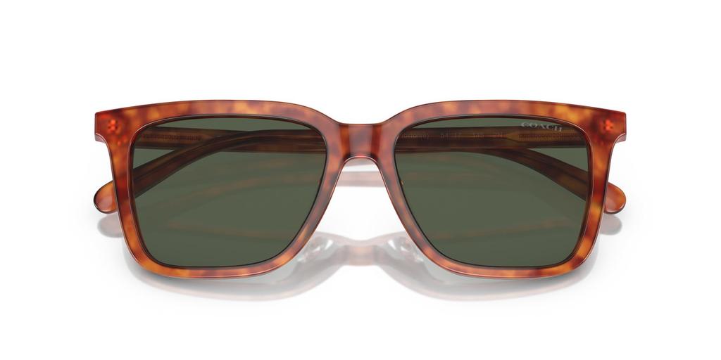 Coach Sunglasses HC8385U CL910 CARAMEL TORTOISE 54