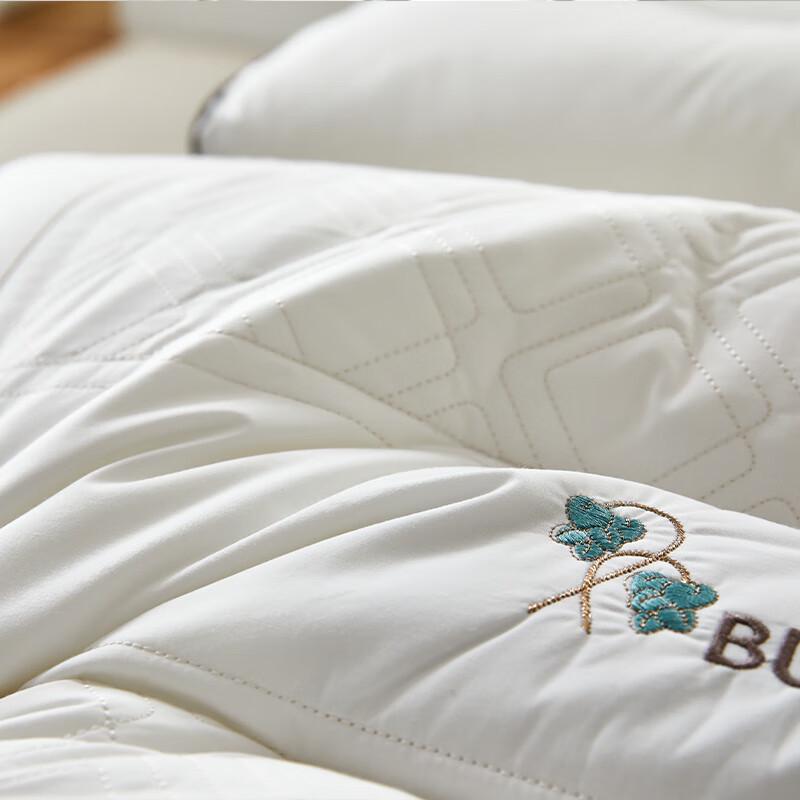 Woody Woodpecker Buckwheat Sleep Aid Pillow