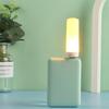 LED Flame Lamp Visual Effect Plug-and-Play Flameless Stunning Energy-saving Glare Free Decorative Compact