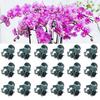 Pflanzenclips Stiele Ranken Gartenstützclips Kunststoff Orchidee Tomate Pfingstrose Stielhalter Pflanzenstab Befestigungselemente