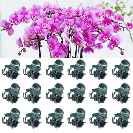 Pflanzenclips Stiele Ranken Gartenstützclips Kunststoff Orchidee Tomate Pfingstrose Stielhalter Pflanzenstab Befestigungselemente